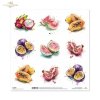 Marakuja, arbuz, pitaja, papaja, granat, guawa, akwarela*passion fruit, watermelon, dragon fruit, papaya, pomegranate, guava, watercolor